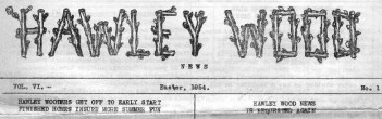 1954