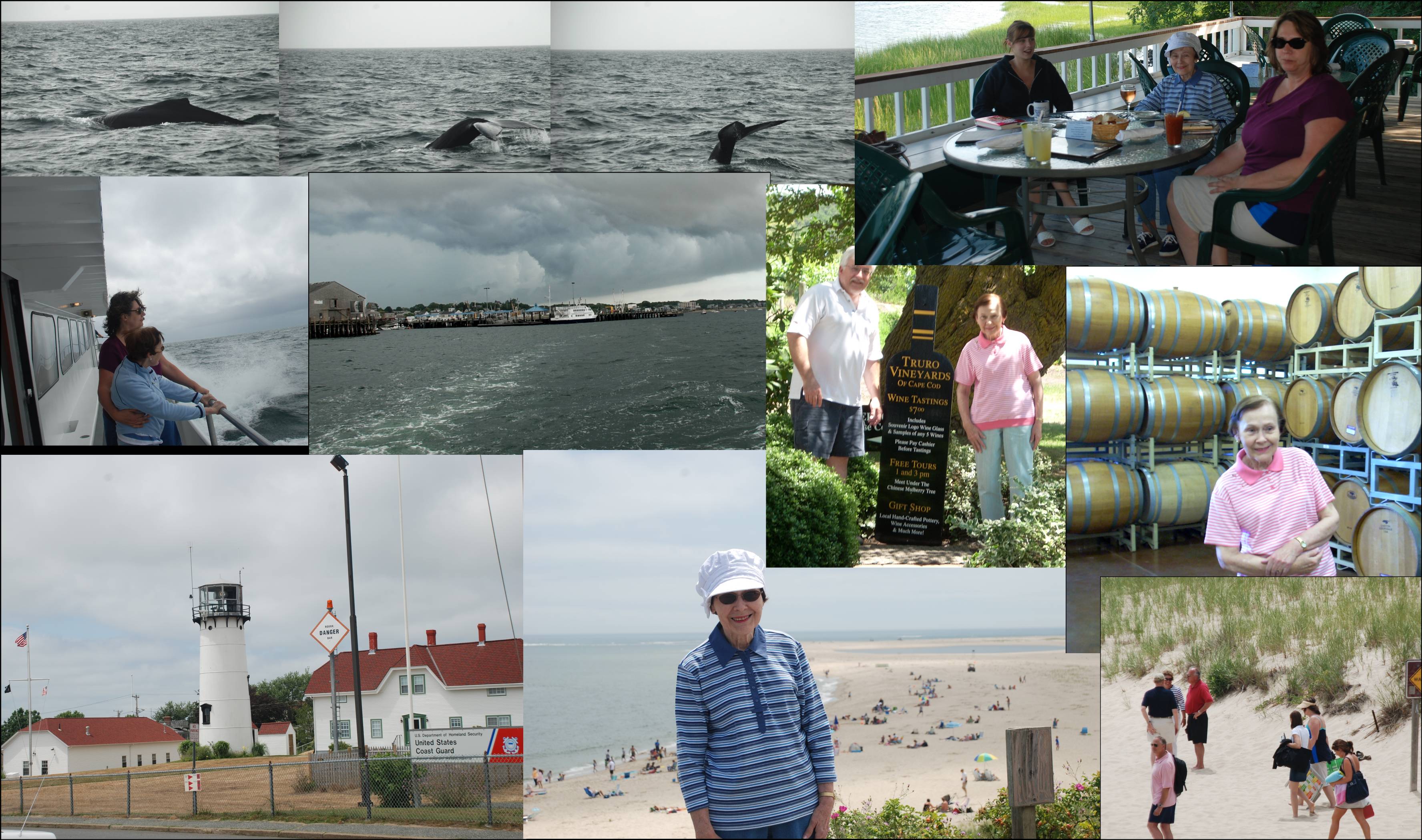2008 Cape Cod